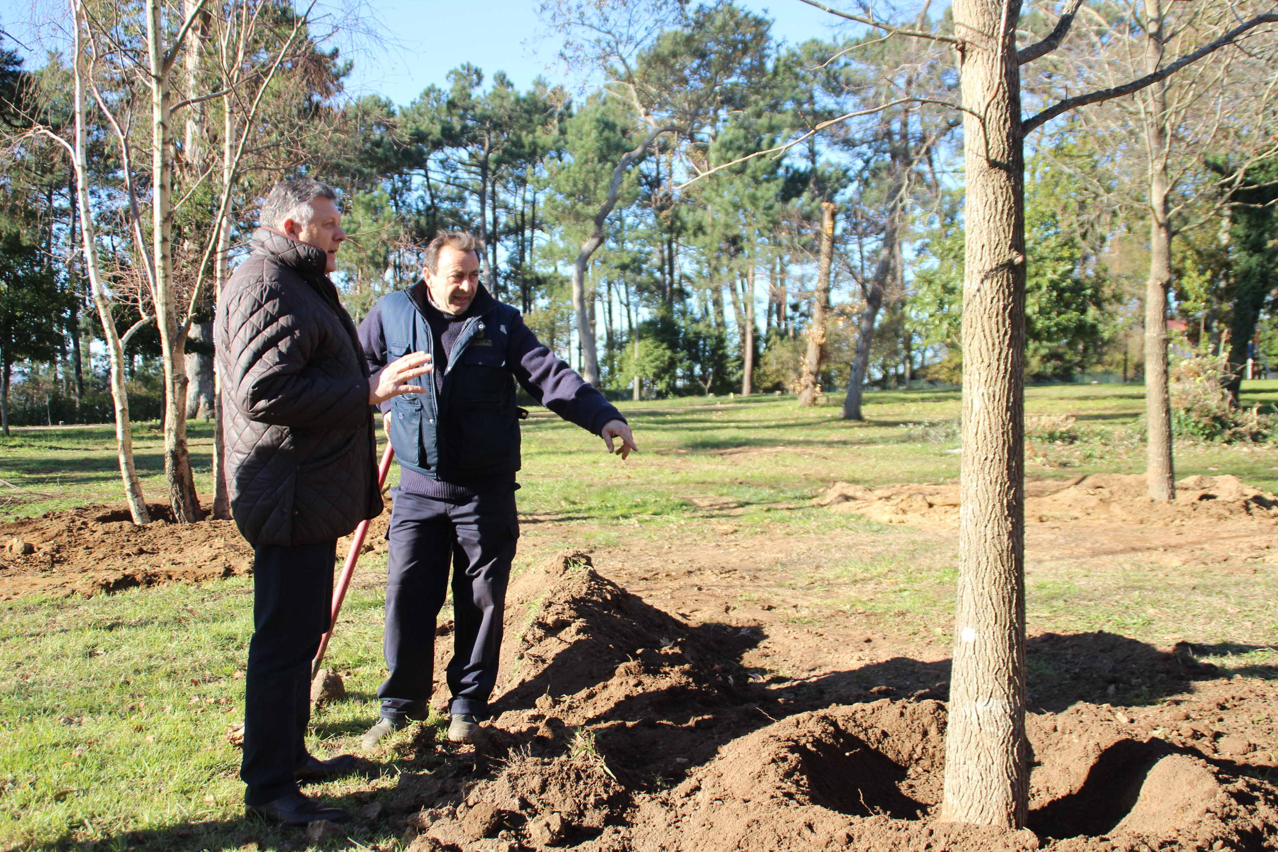 La Concejalía de Medio Ambiente plantará 78 árboles en el Parque Punta Vicaño