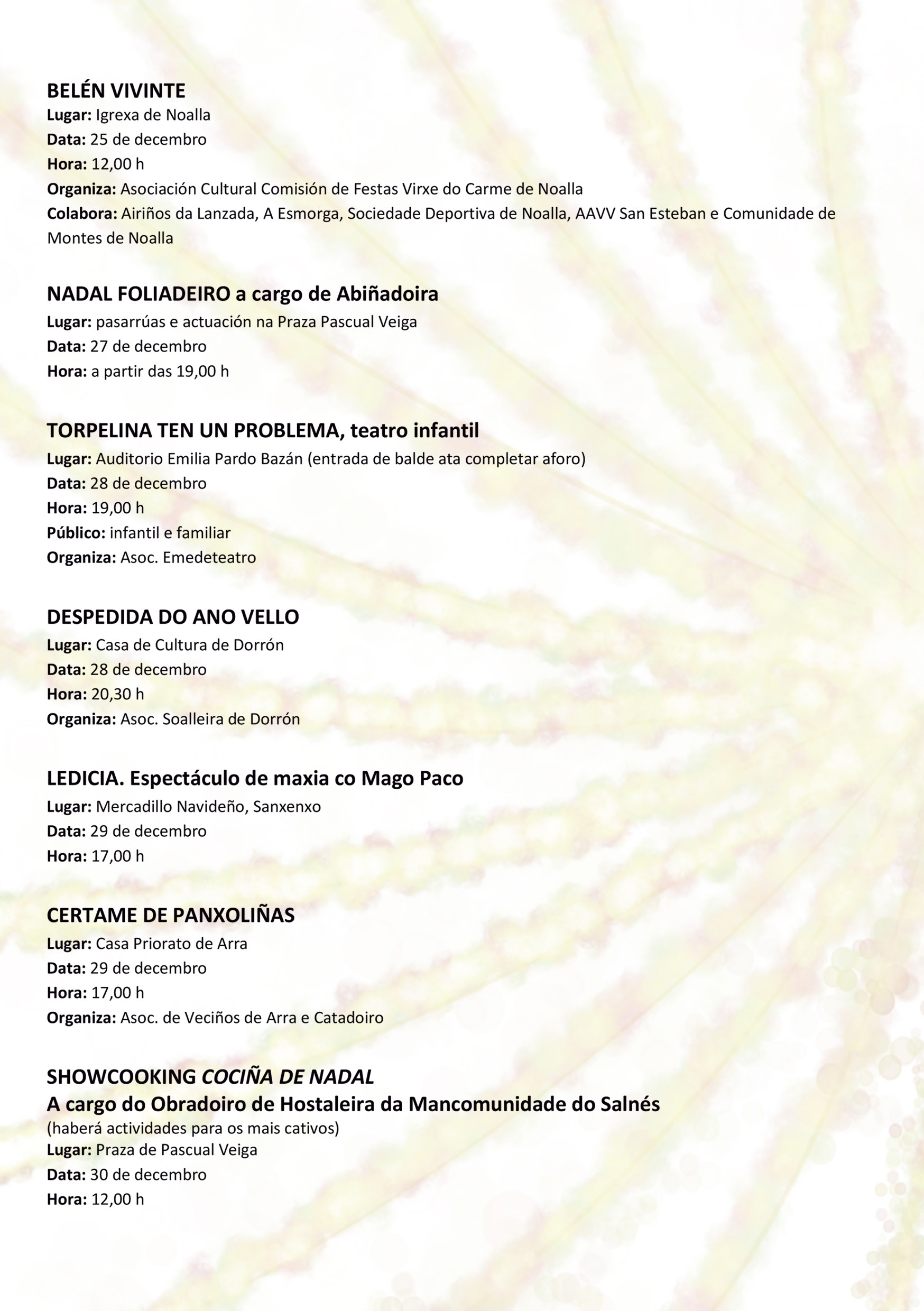 programa vertical Pagina 5