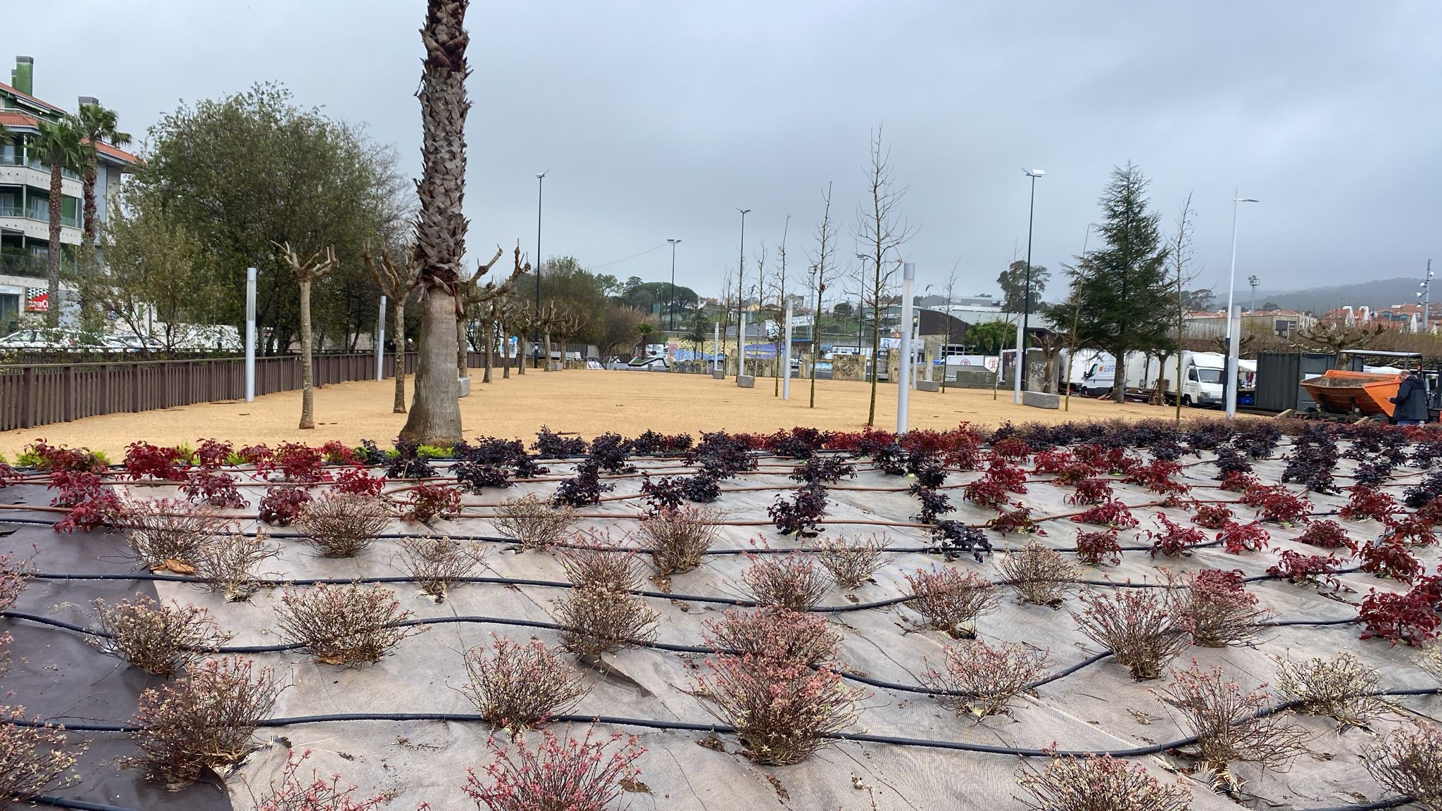 EL CONCELLO CONCLUYE LA MEJORA EN LA ZONA AJARDINADA DE BALTAR PRÓXIMA AL SKATEPARK