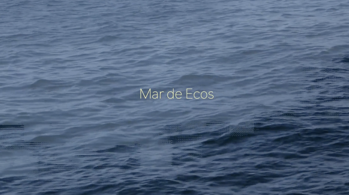 MAR DE ECOS DE CARMEN ISASI GANA EL PRIMER PREMIO DEL CONCURSO DE VIDEOARTE MARINO EN SANXENXO