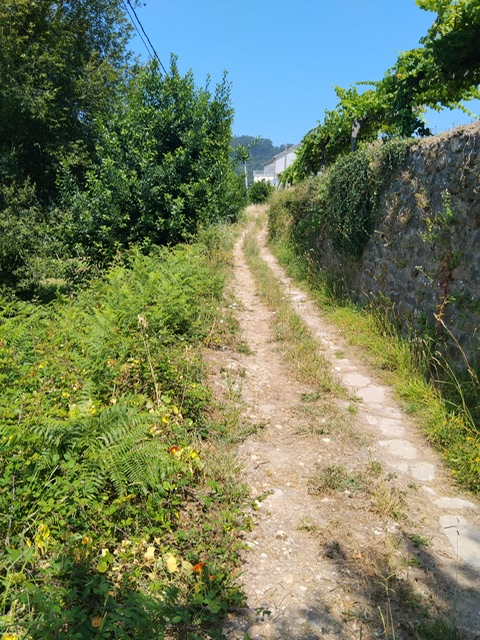 EL CONCELLO SACA A LICITACIÓN EL ENSANCHE Y PAVIMENTACIÓN DEL CAMIÑO DE GUILLABAI EN DORRÓN POR 154.800 EUROS