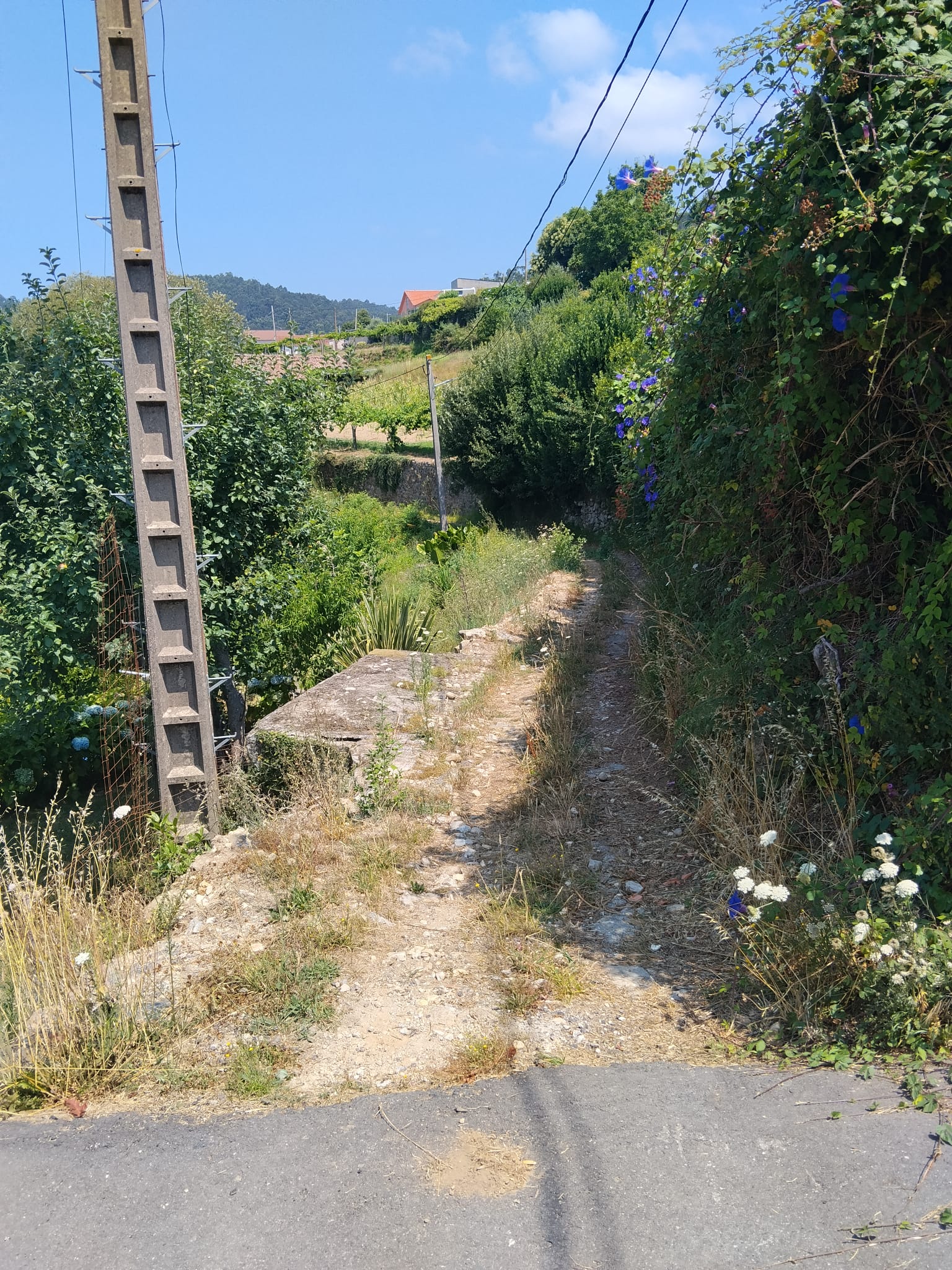 EL CONCELLO ENSANCHARÁ Y PAVIMENTARÁ EL CAMIÑO DE GUILLABAI EN DORRÓN CON UNA INVERSIÓN DE 154.800 EUROS
